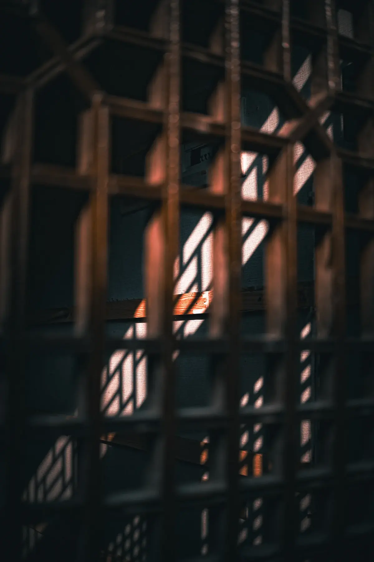 摄影选集 14