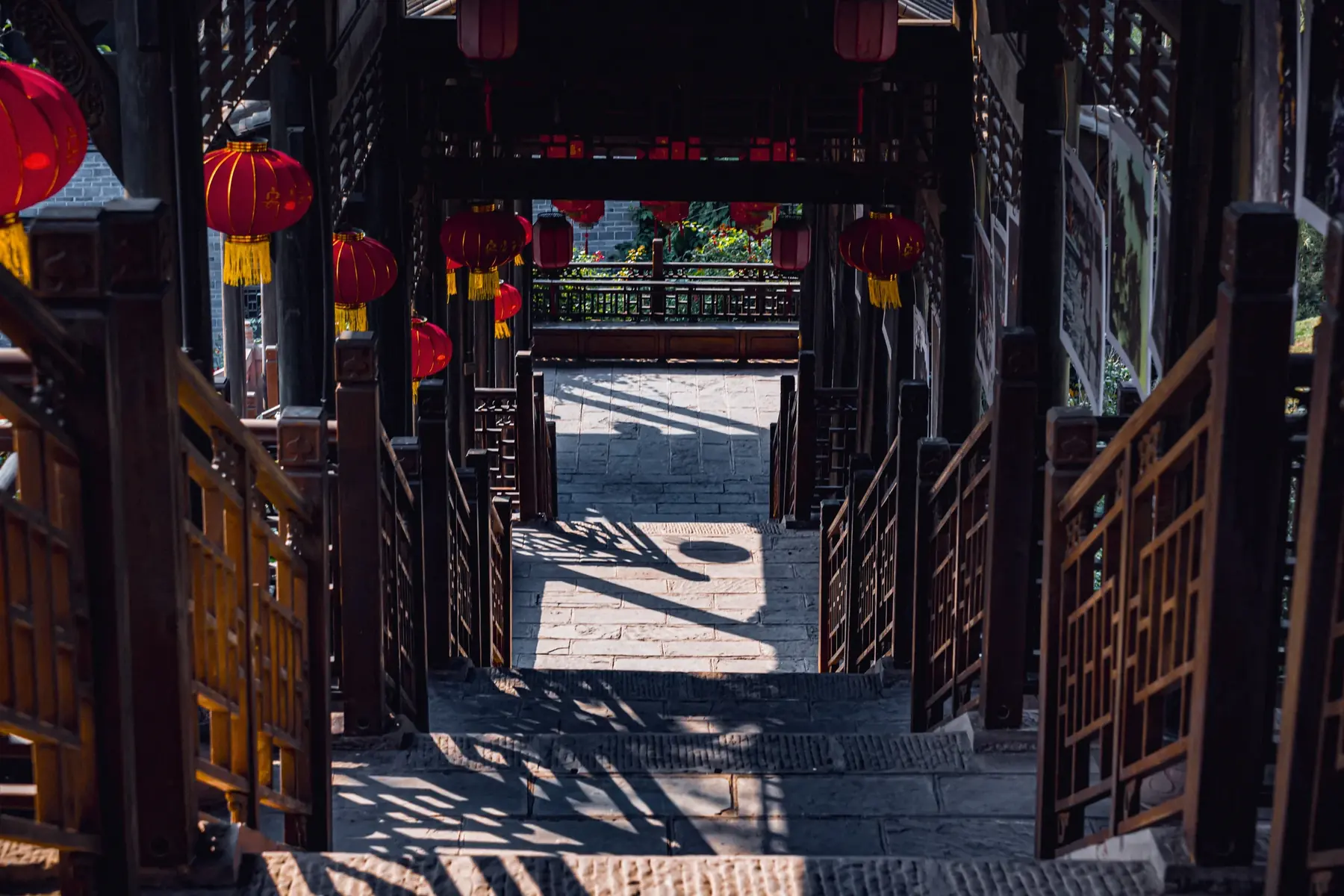 摄影选集 15